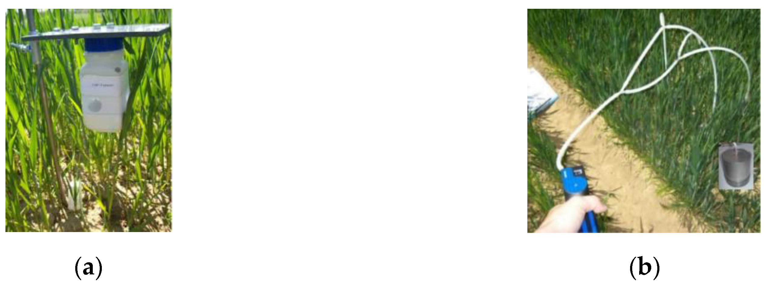 Atmosphere 11 00782 g002