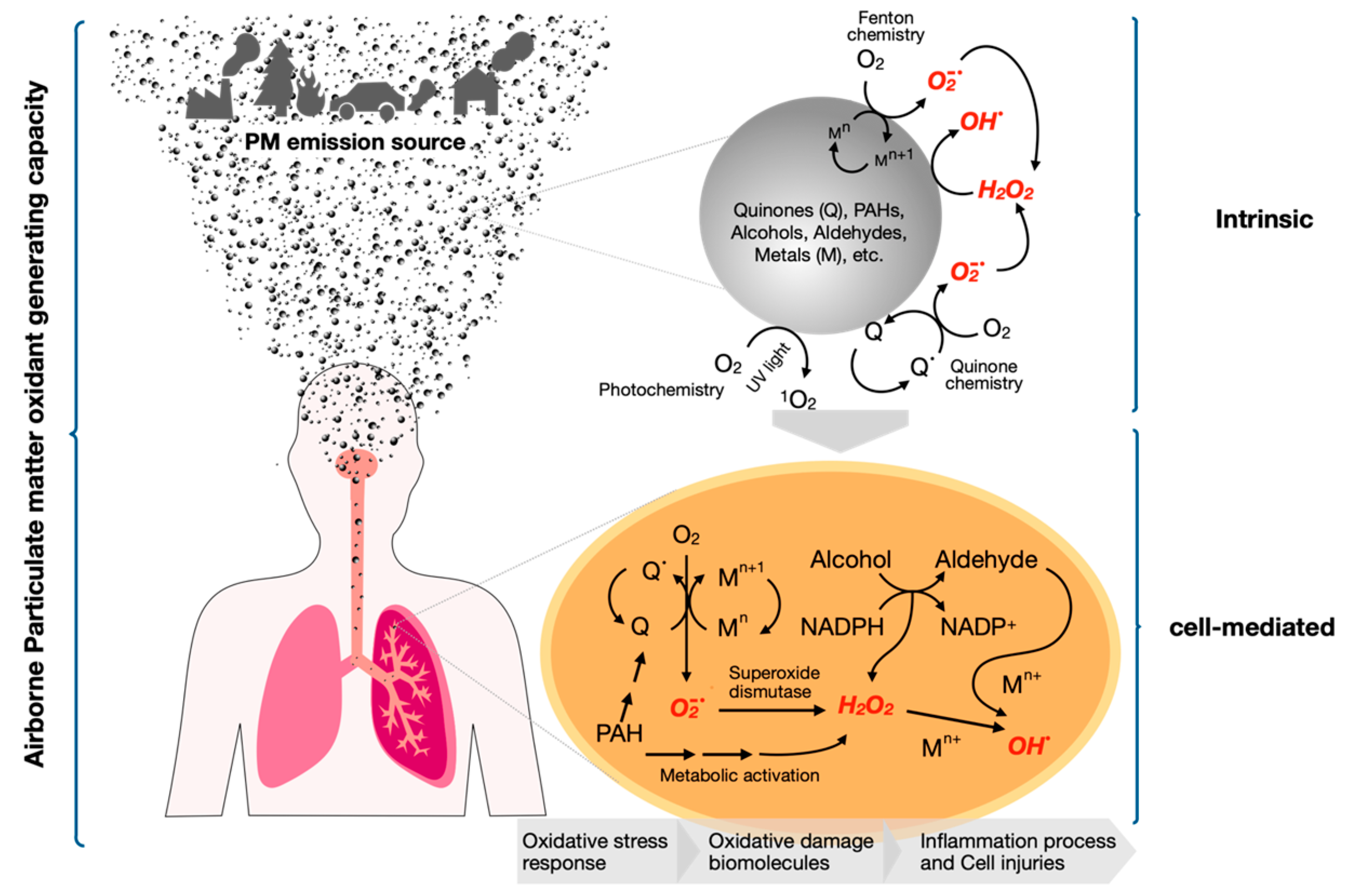 Atmosphere 11 00917 g001 Atmosphere 11 00917 g001