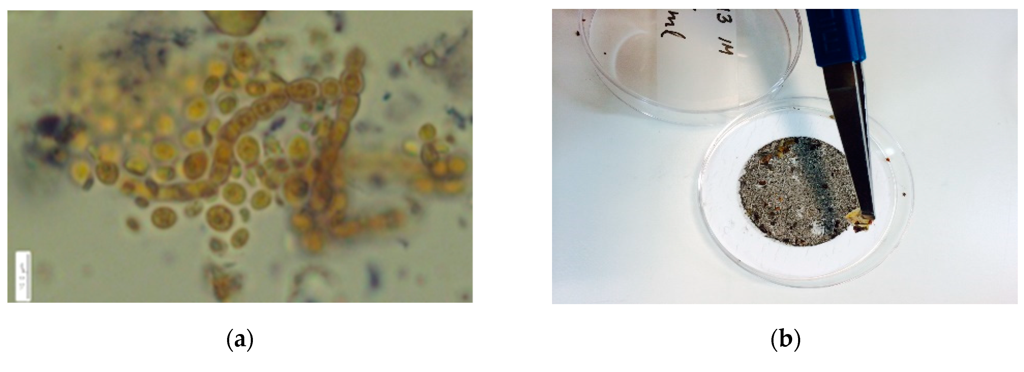 Atmosphere 11 00923 g006