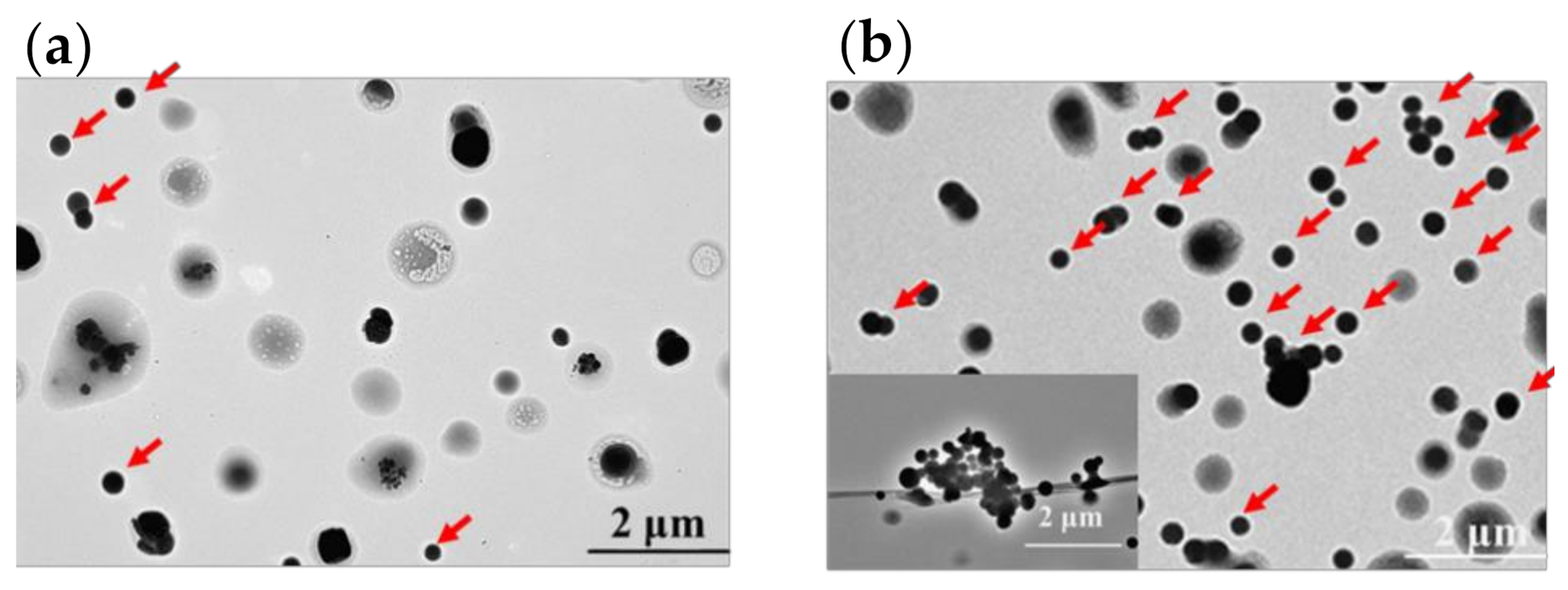 Atmosphere 11 01175 g004 Atmosphere 11 01175 g004