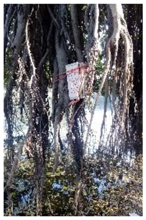 Atmosphere 11 01348 i002