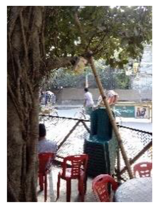 Atmosphere 11 01348 i003