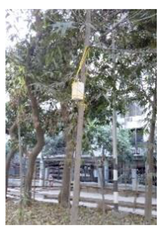 Atmosphere 11 01348 i004