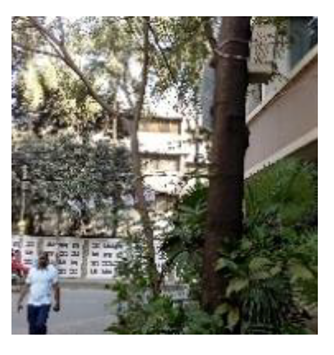 Atmosphere 11 01348 i005