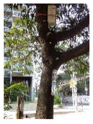 Atmosphere 11 01348 i006