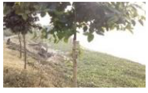 Atmosphere 11 01348 i010