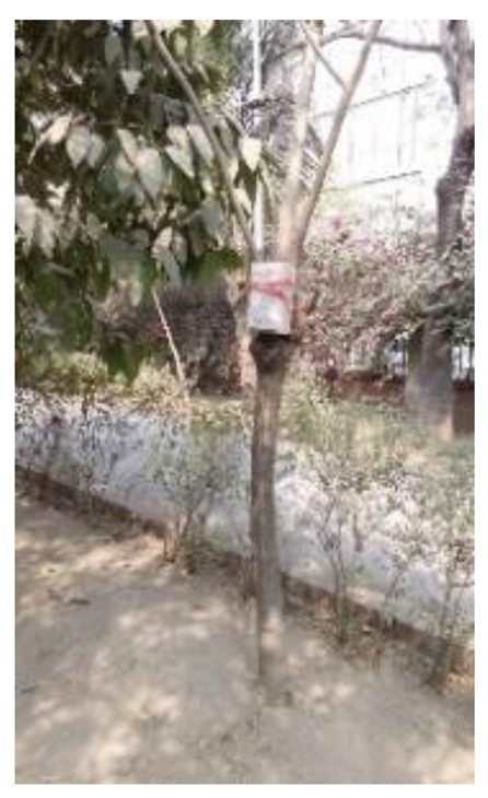 Atmosphere 11 01348 i011