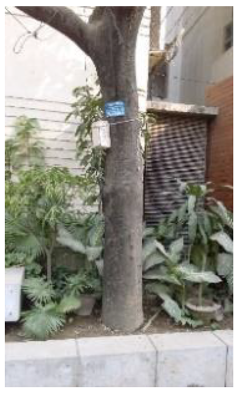 Atmosphere 11 01348 i014