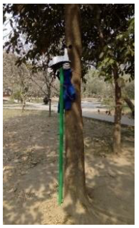 Atmosphere 11 01348 i016