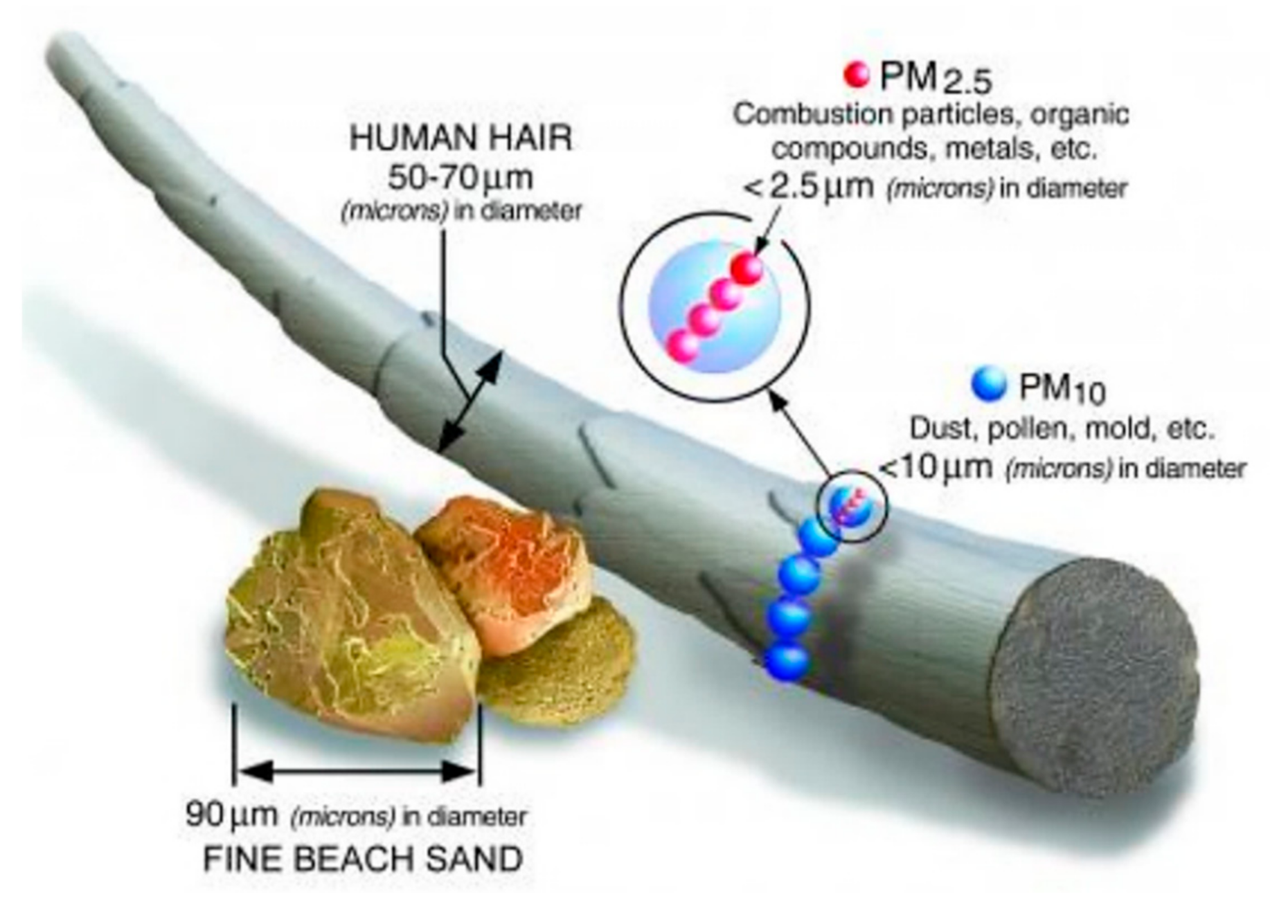 Atmosphere 12 00532 g001 Atmosphere 12 00532 g001
