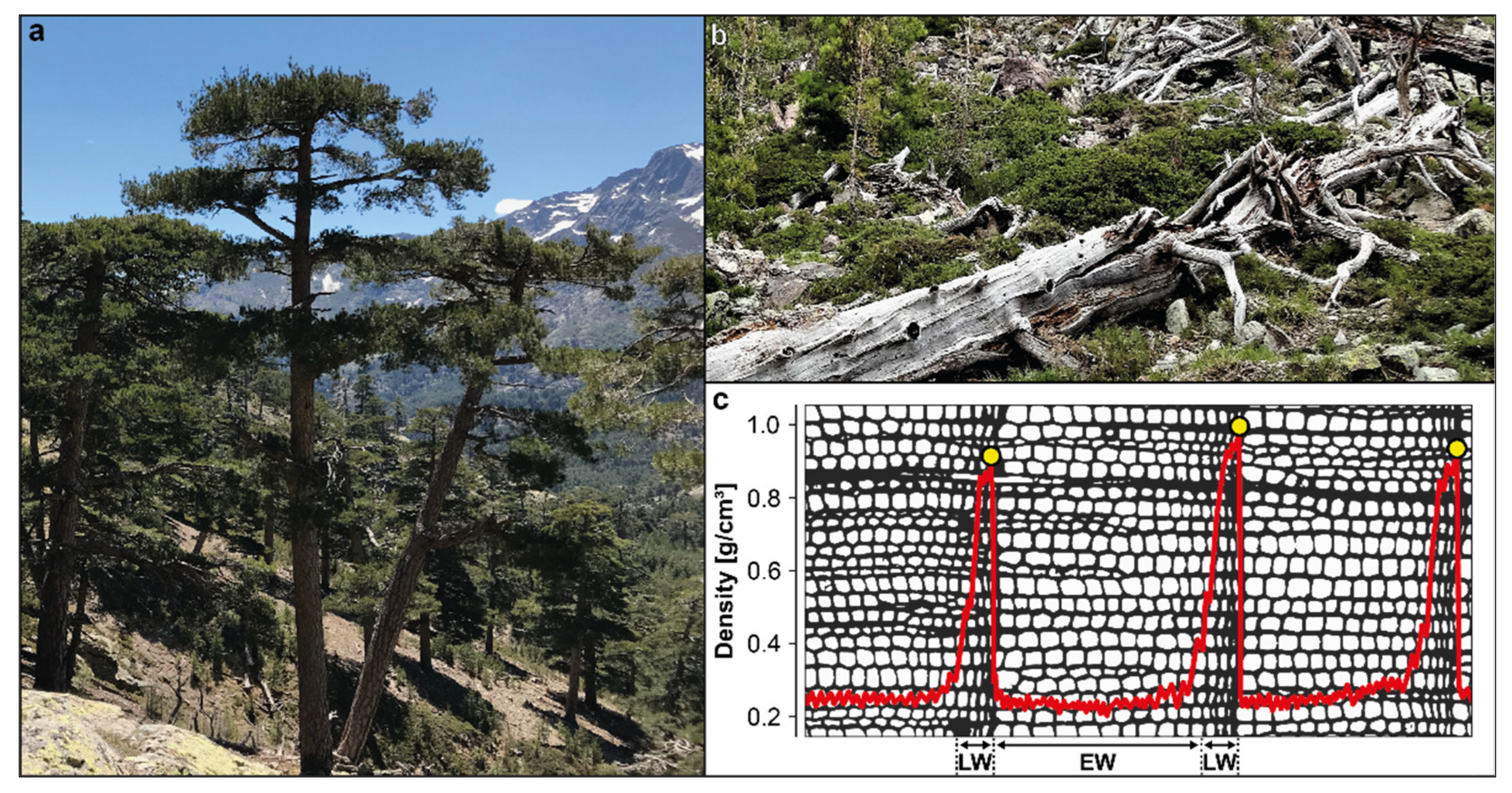 Atmosphere 12 00804 g002