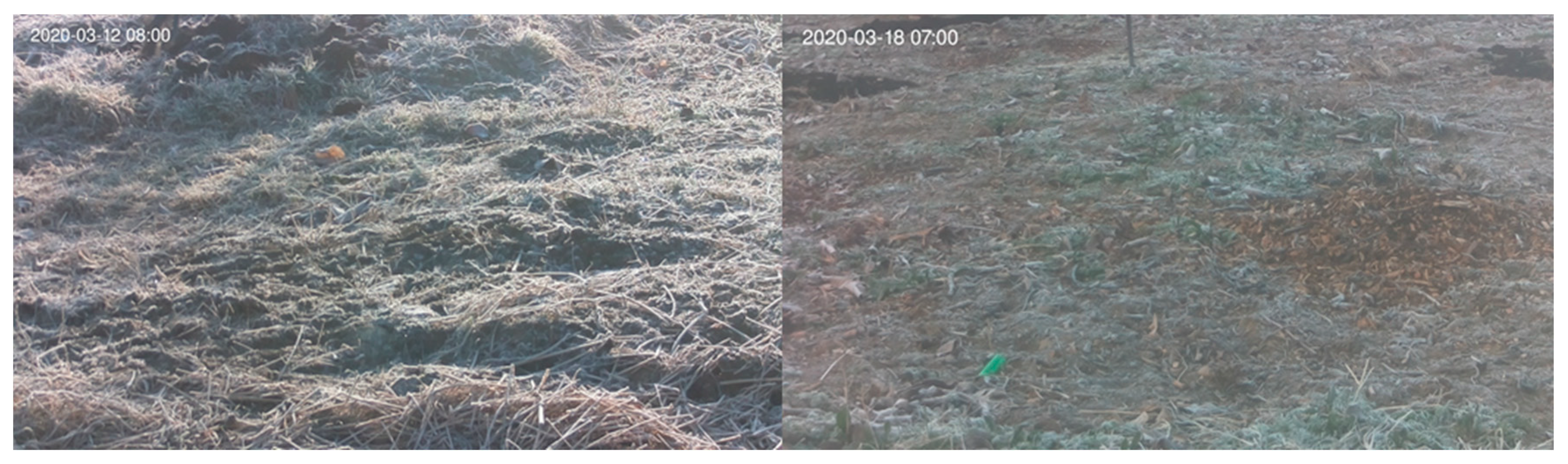 Atmosphere 12 00846 g006