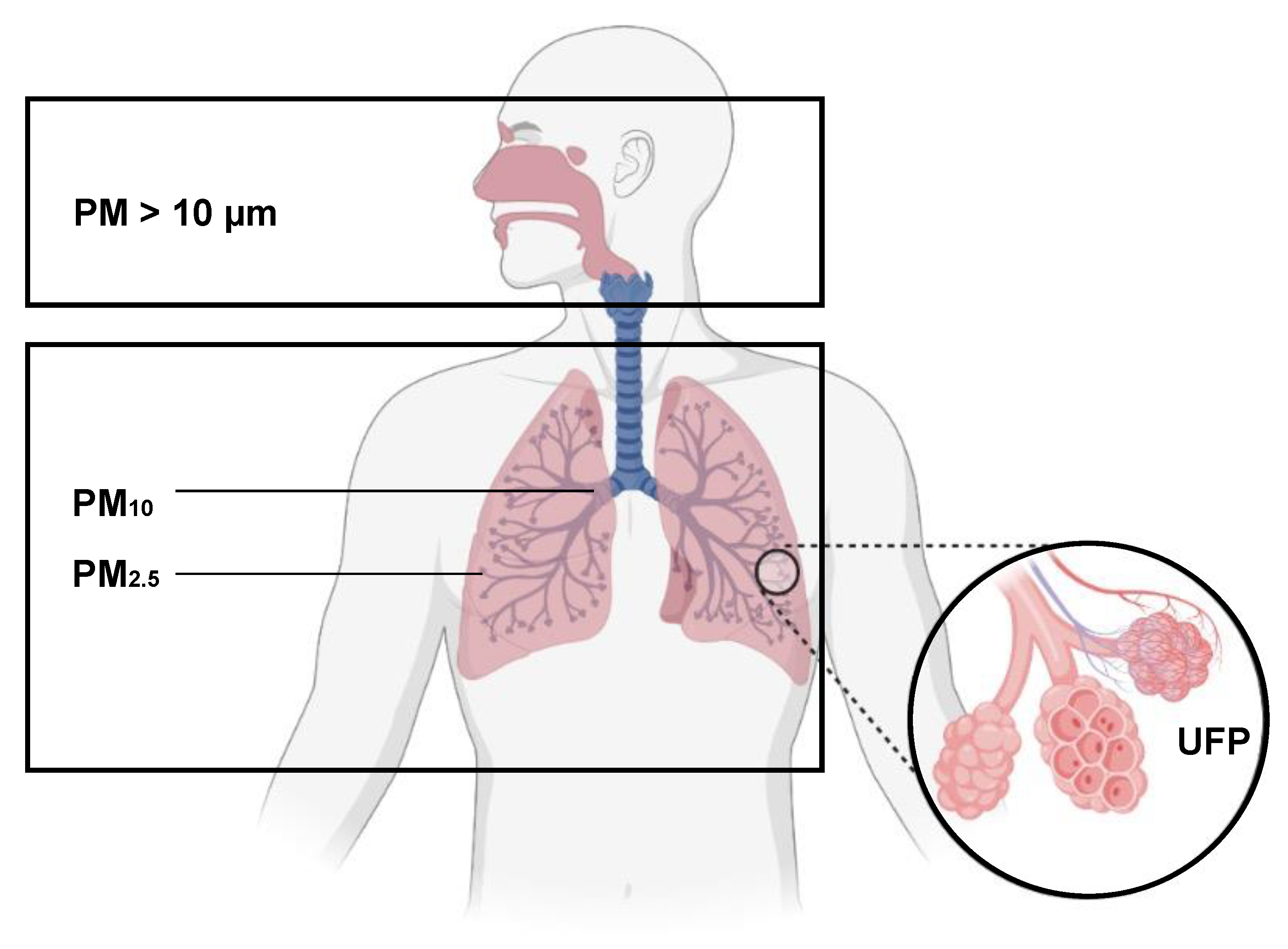 Atmosphere 12 00898 g001