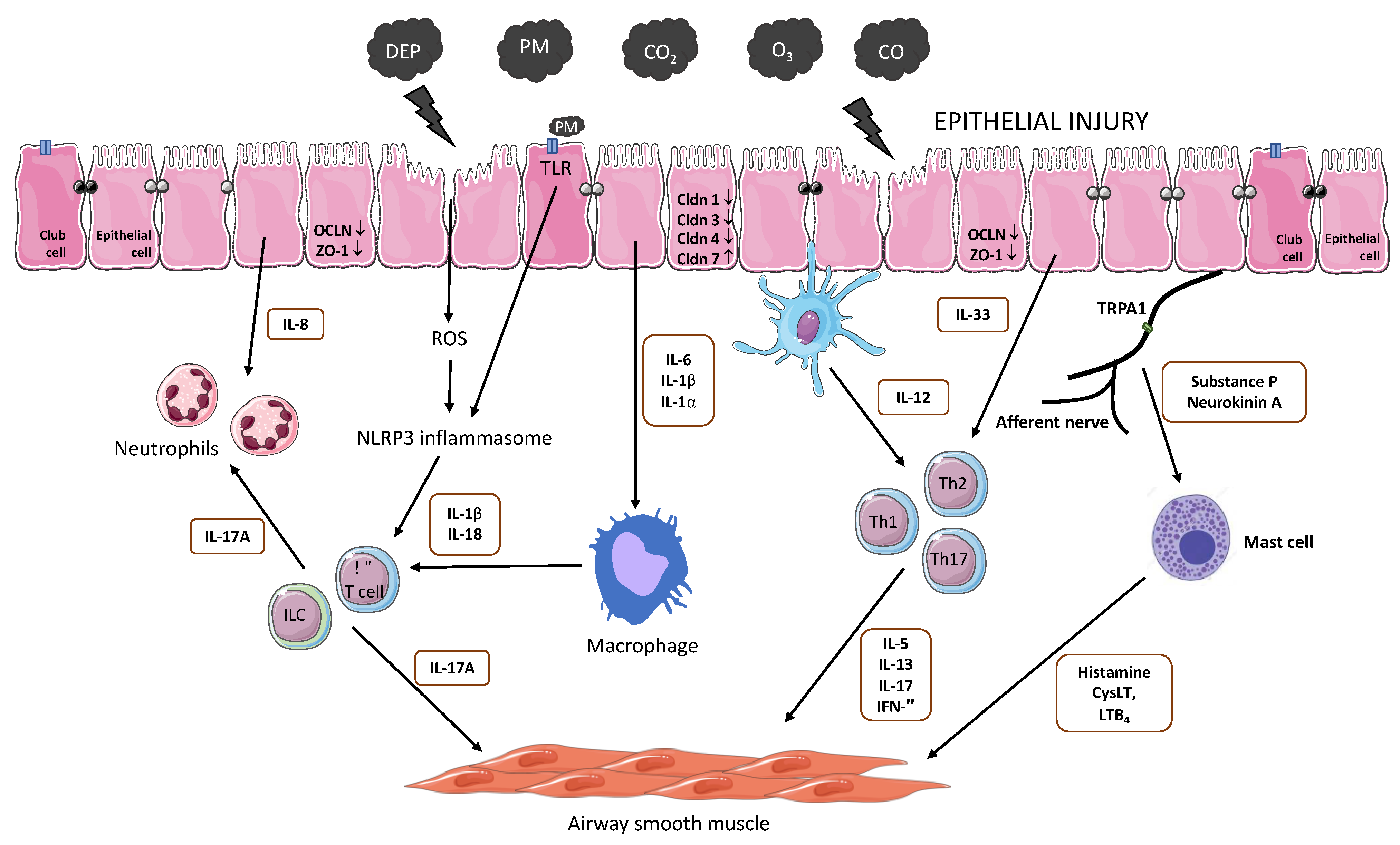 Atmosphere 12 00898 g002