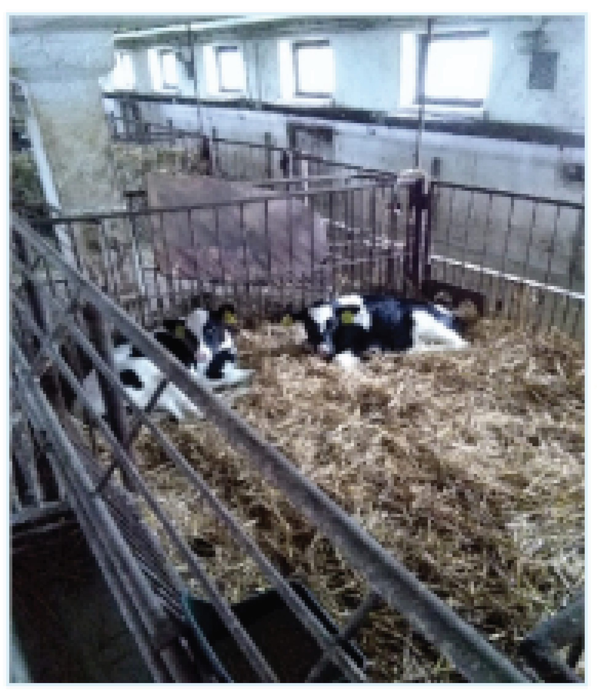 Atmosphere 12 00934 i005