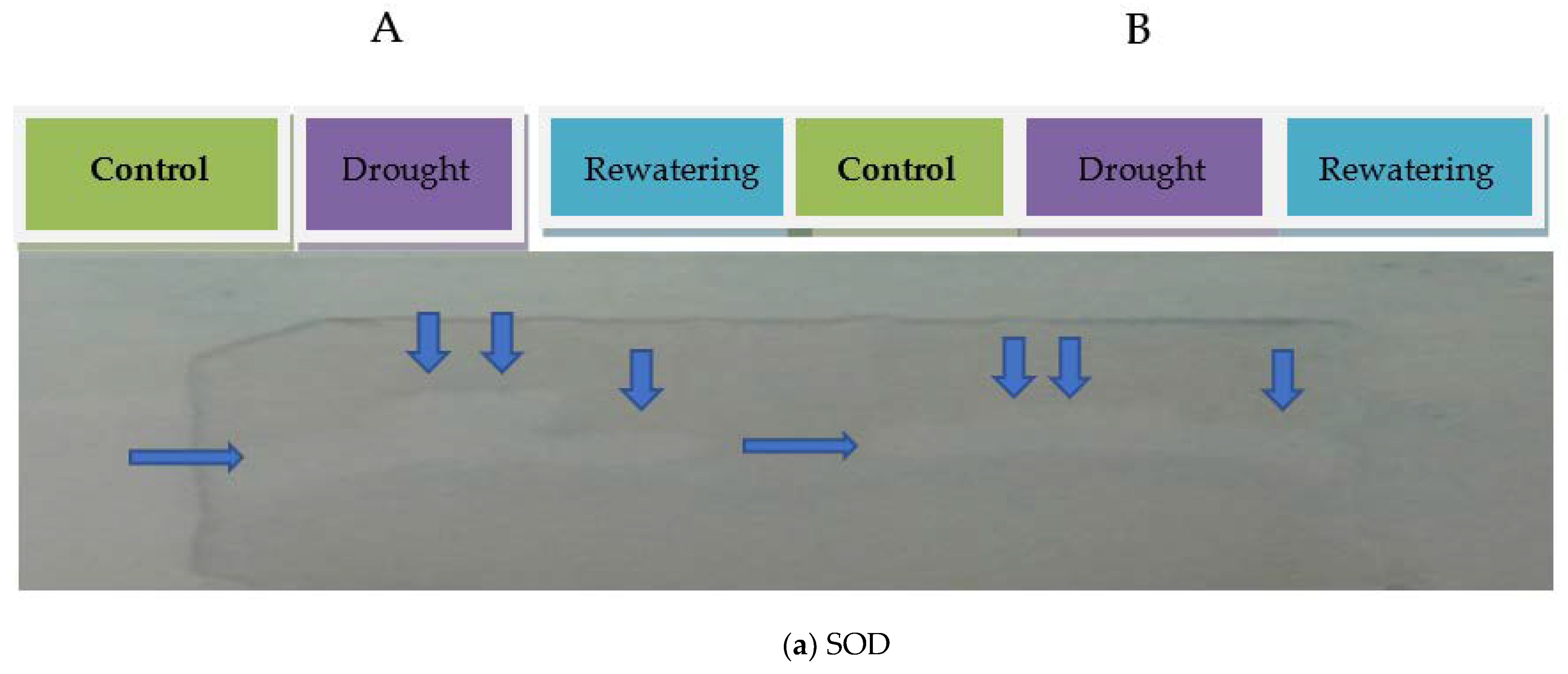 Atmosphere 12 01021 g002a
