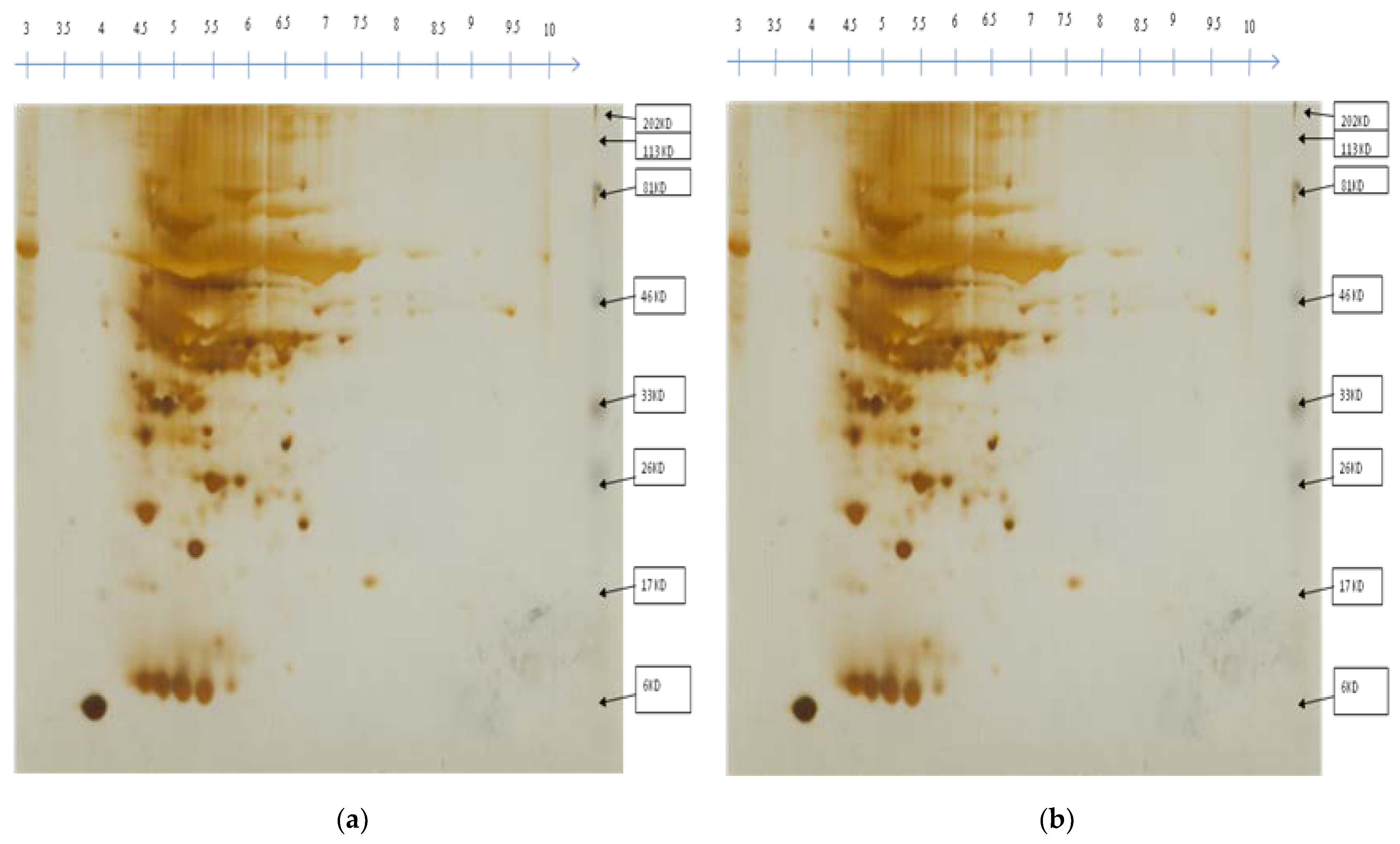 Atmosphere 12 01021 g003