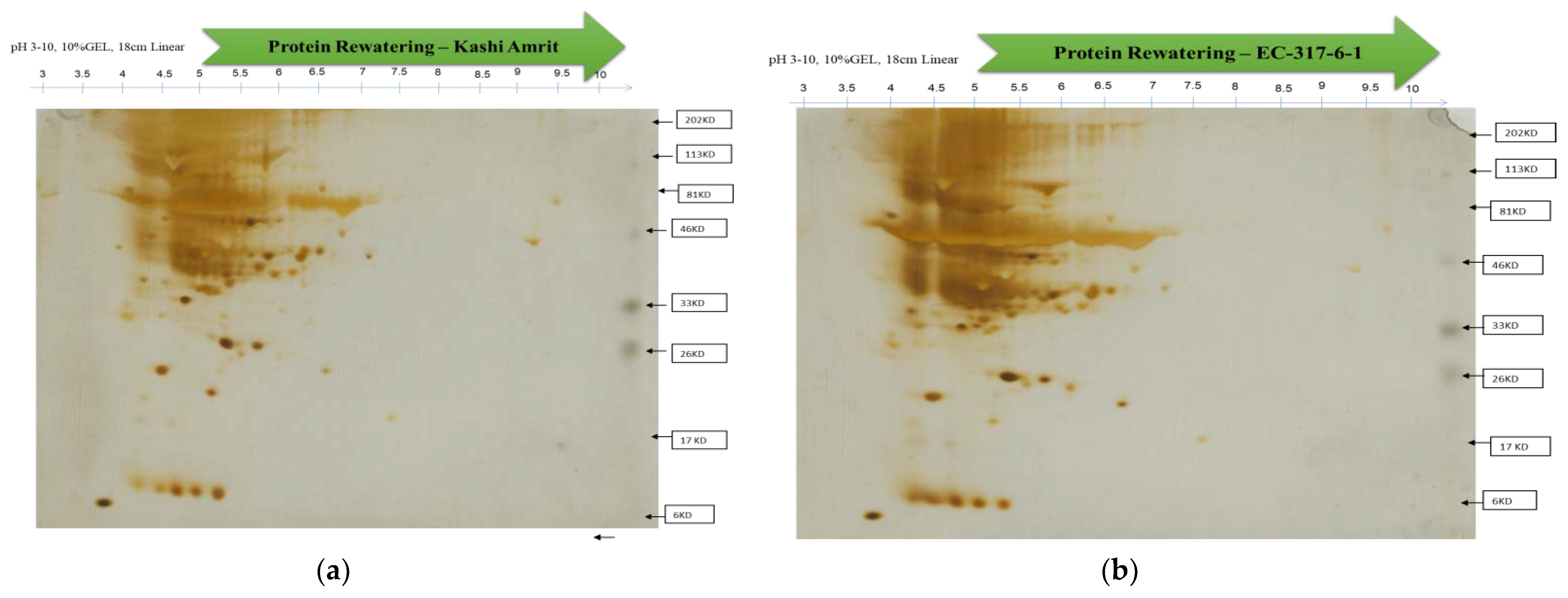 Atmosphere 12 01021 g004