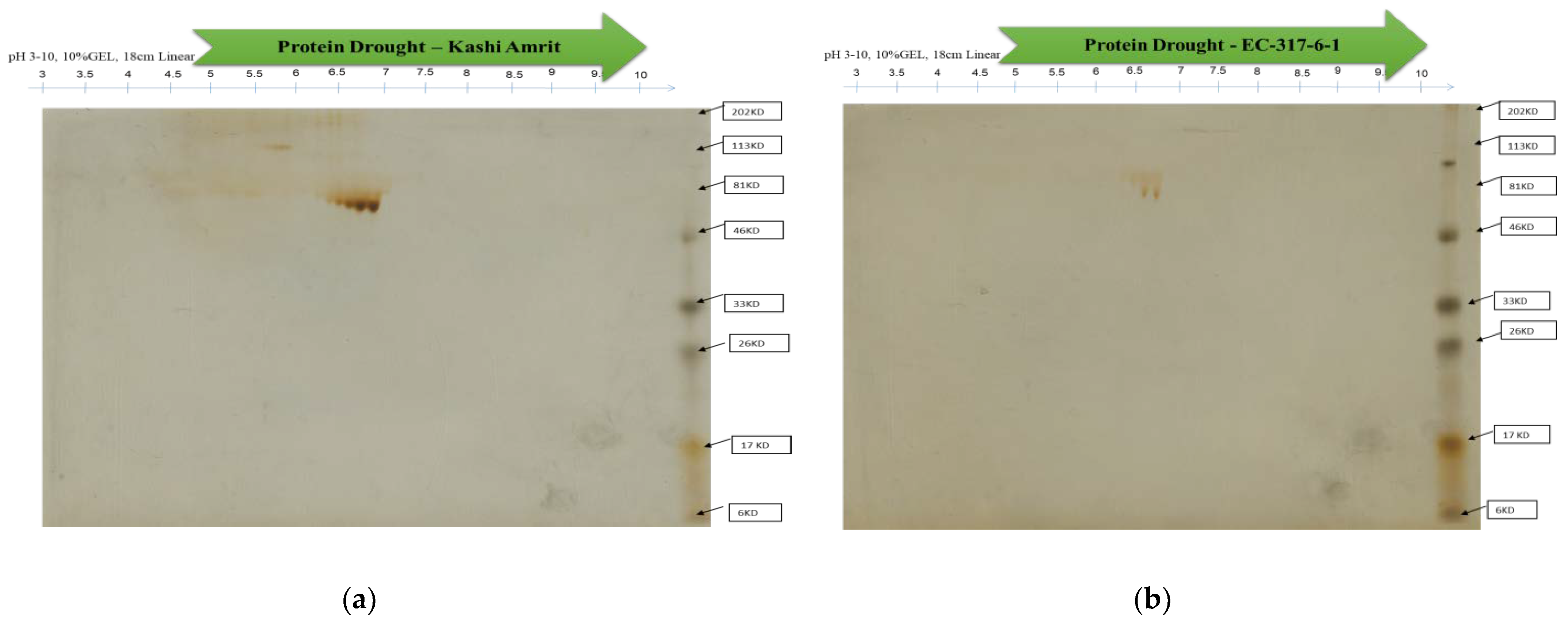 Atmosphere 12 01021 g005