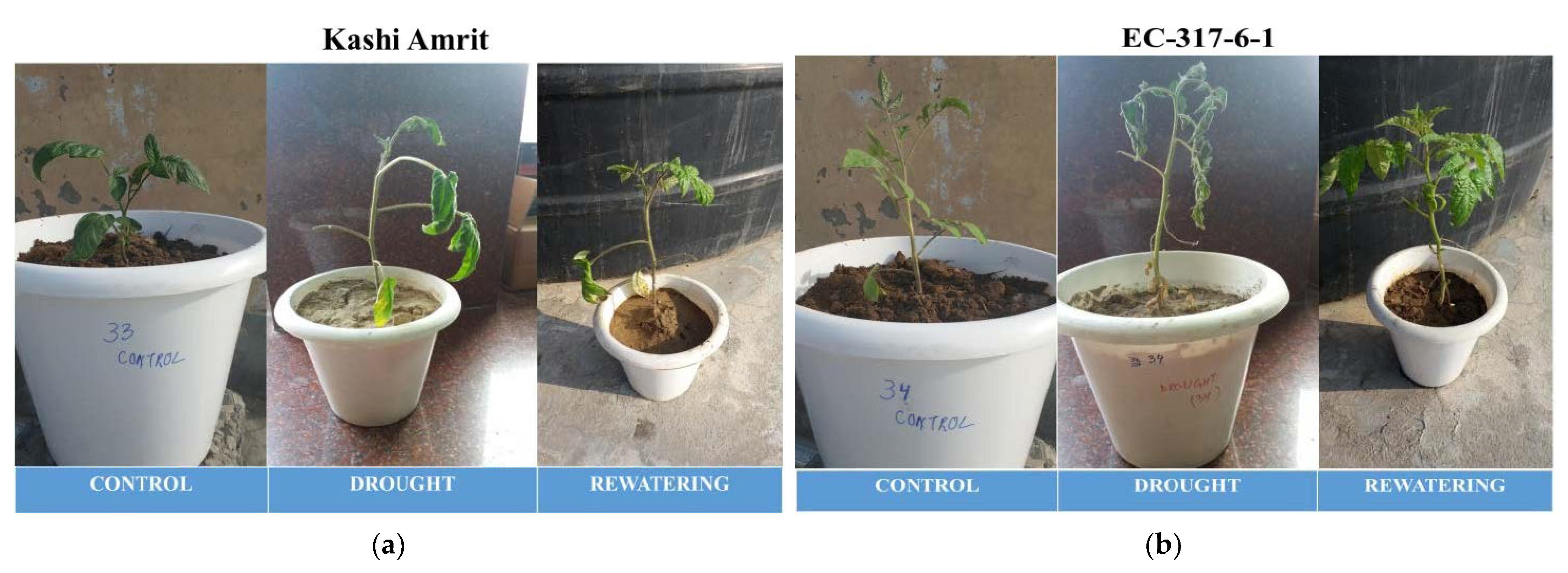 Atmosphere 12 01021 g007