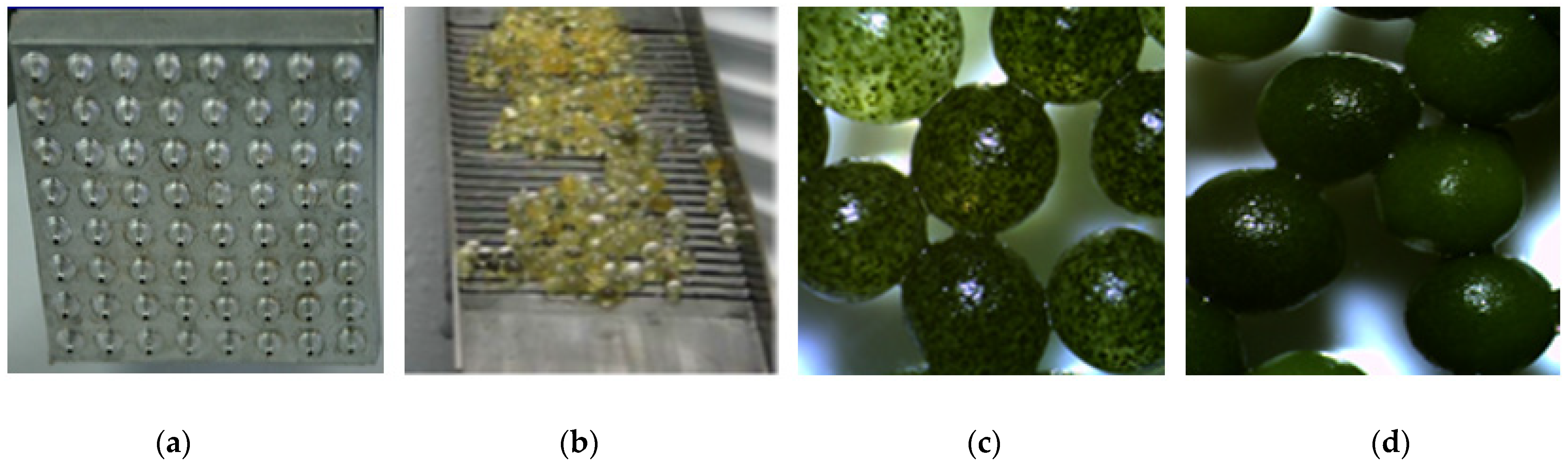 Atmosphere 12 01031 g004