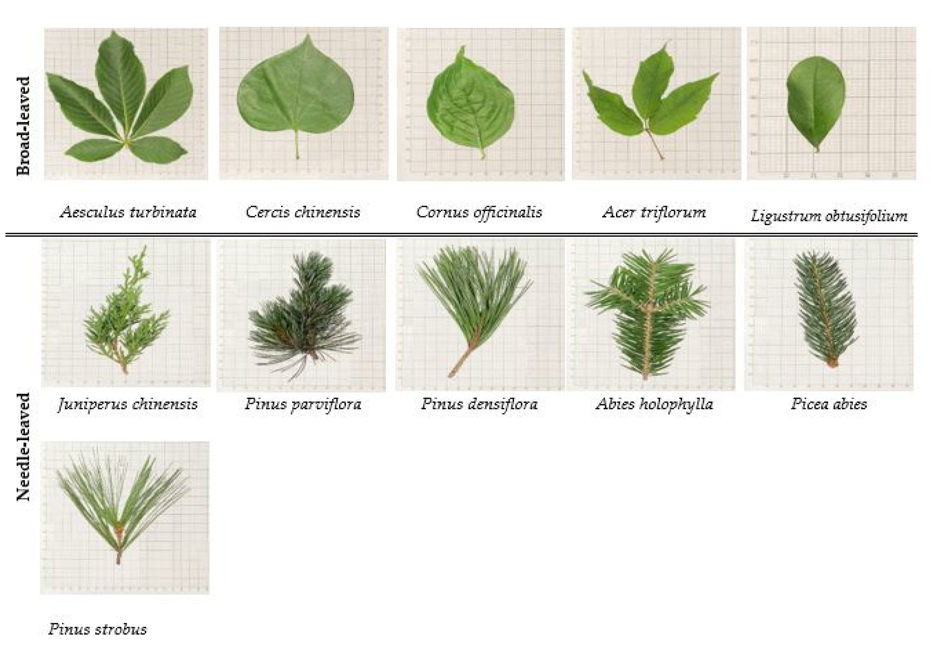 Atmosphere 12 01067 g001