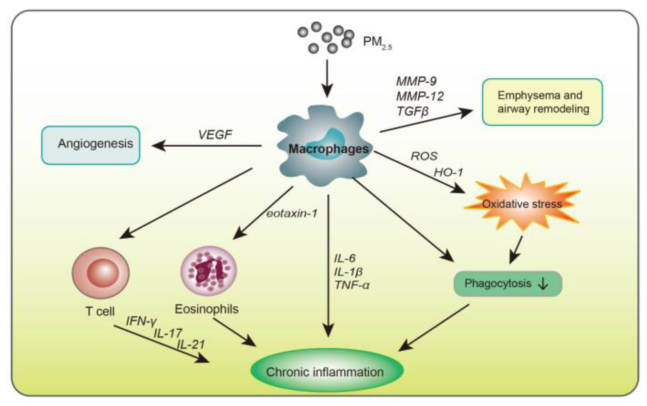 Atmosphere 12 01068 g001