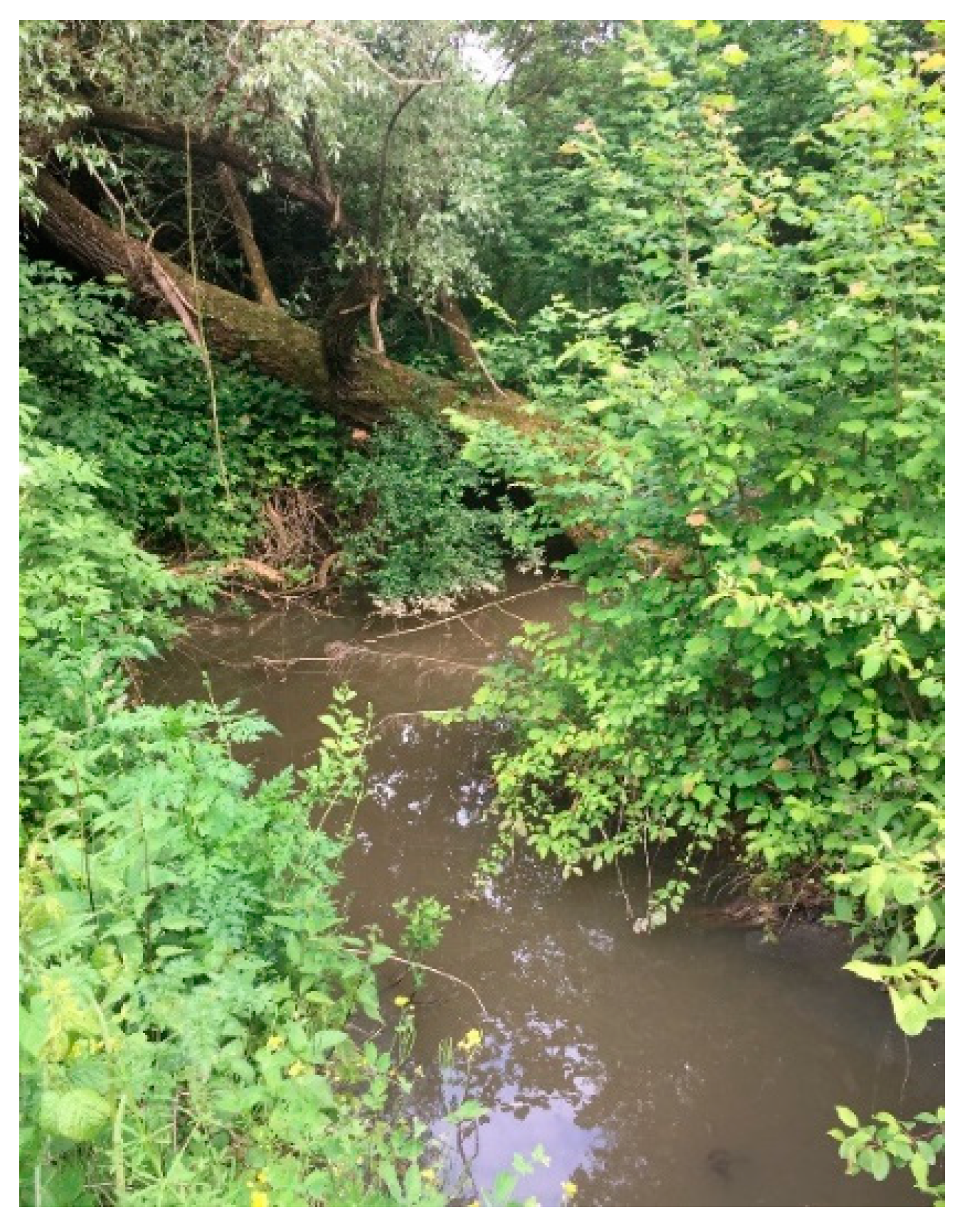 Atmosphere 12 01209 g003