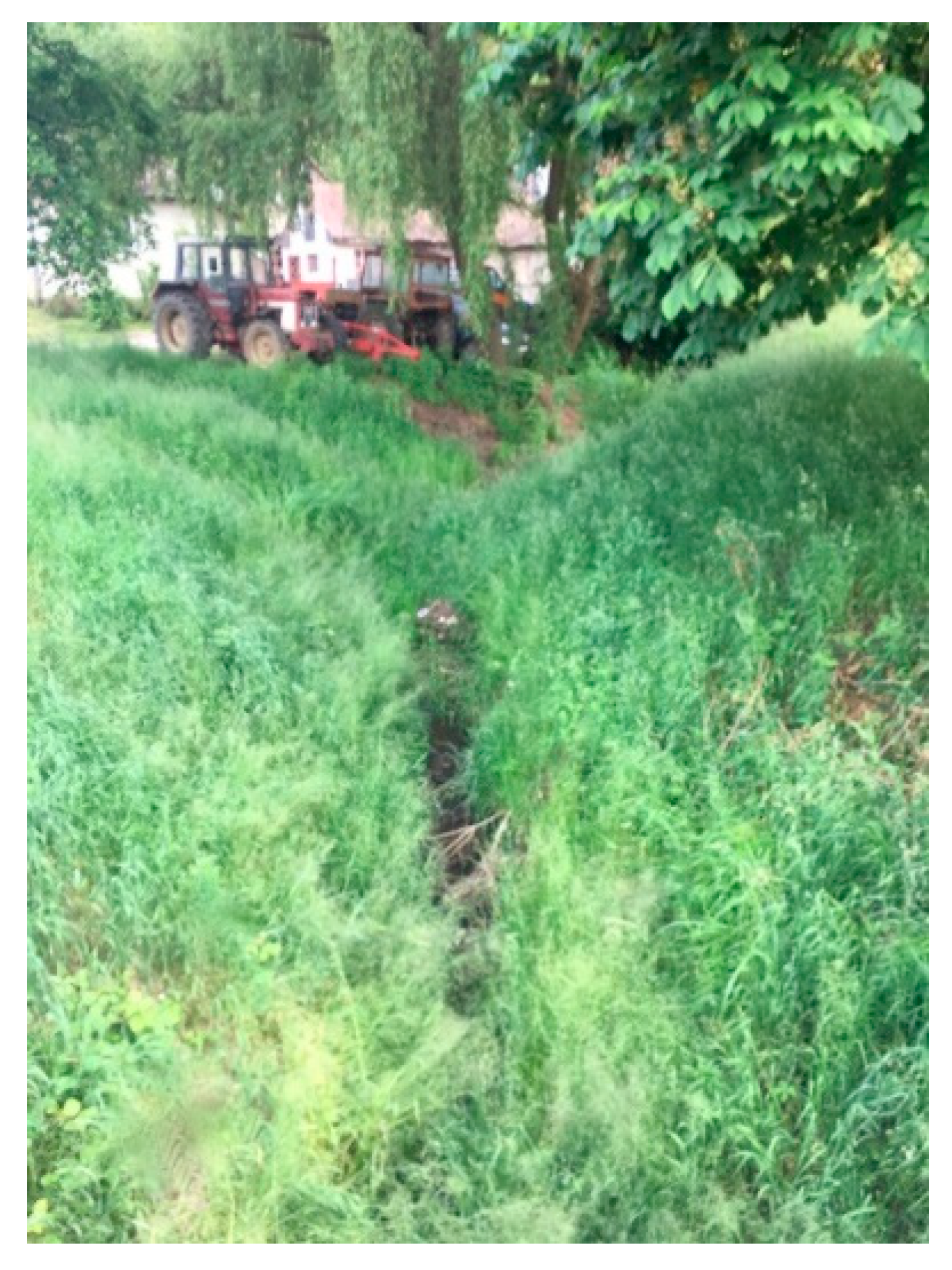 Atmosphere 12 01209 g004