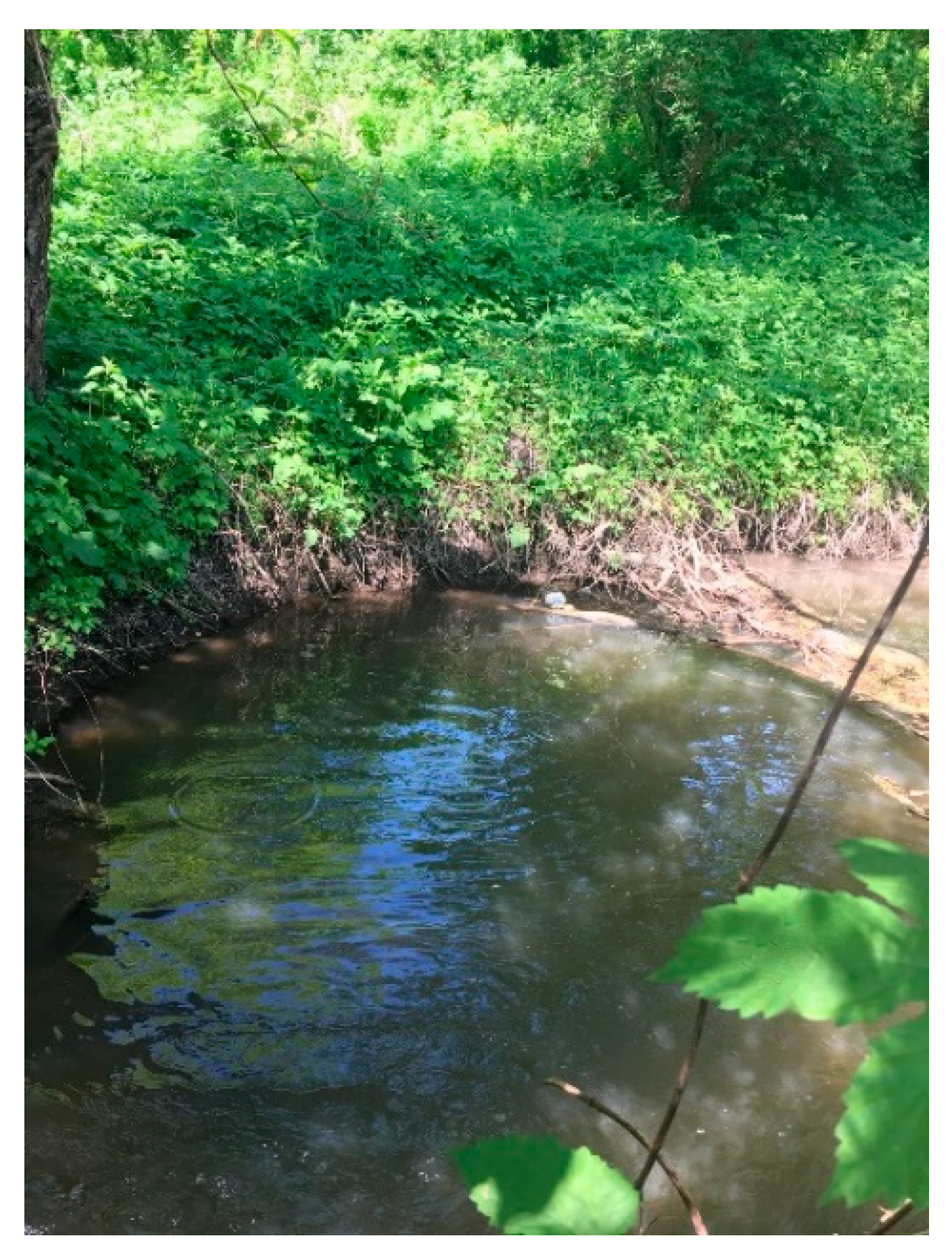 Atmosphere 12 01209 g005