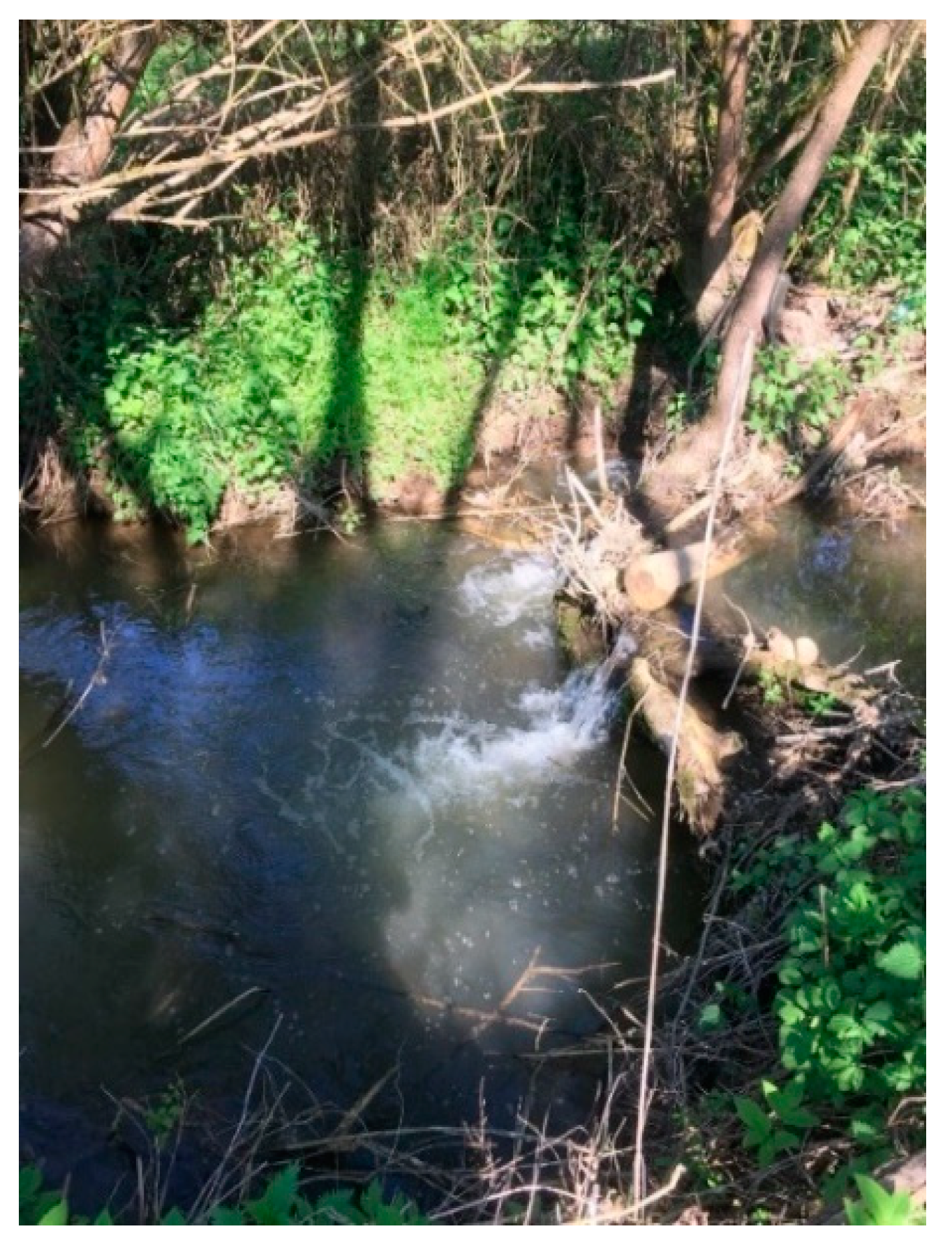 Atmosphere 12 01209 g007