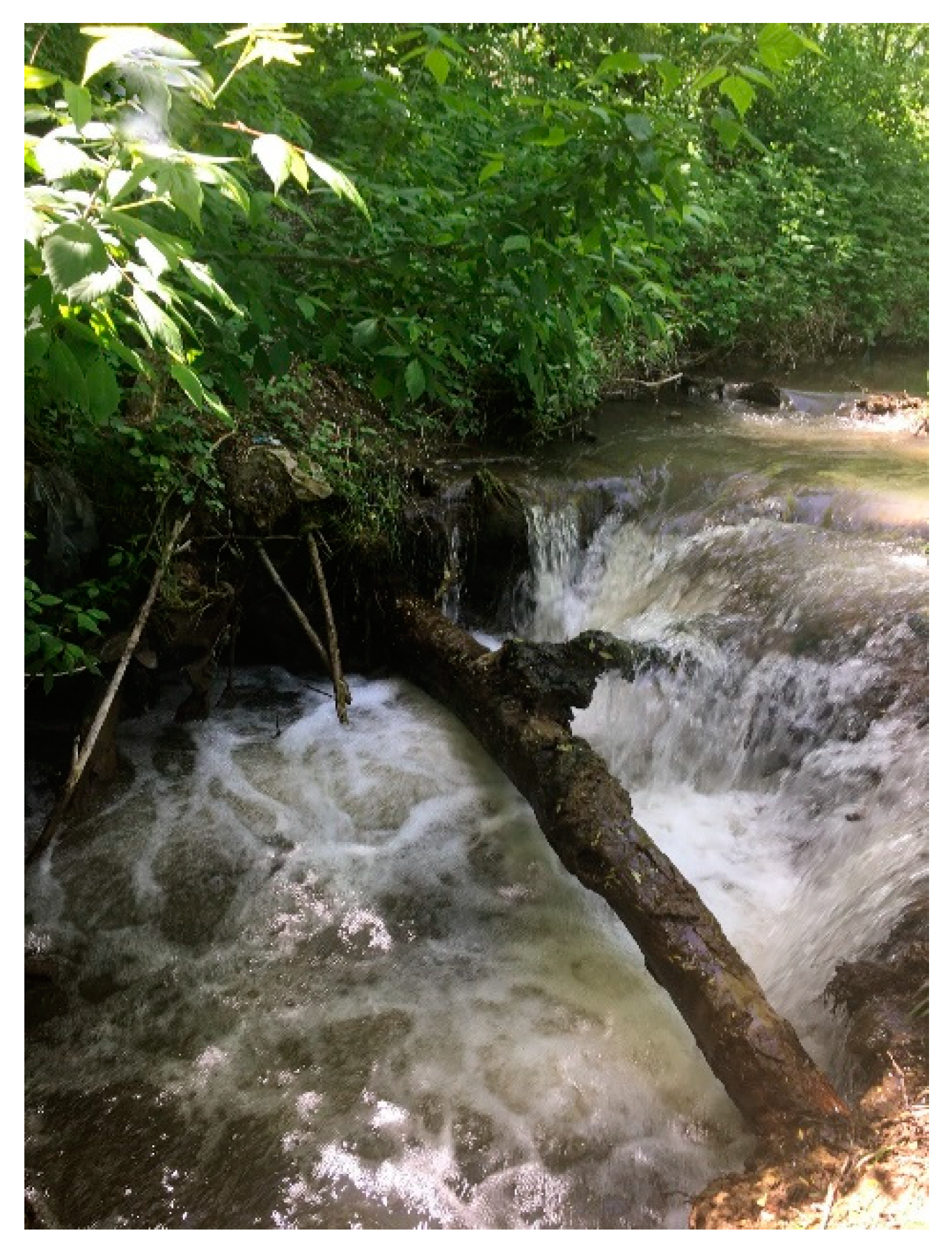 Atmosphere 12 01209 g009