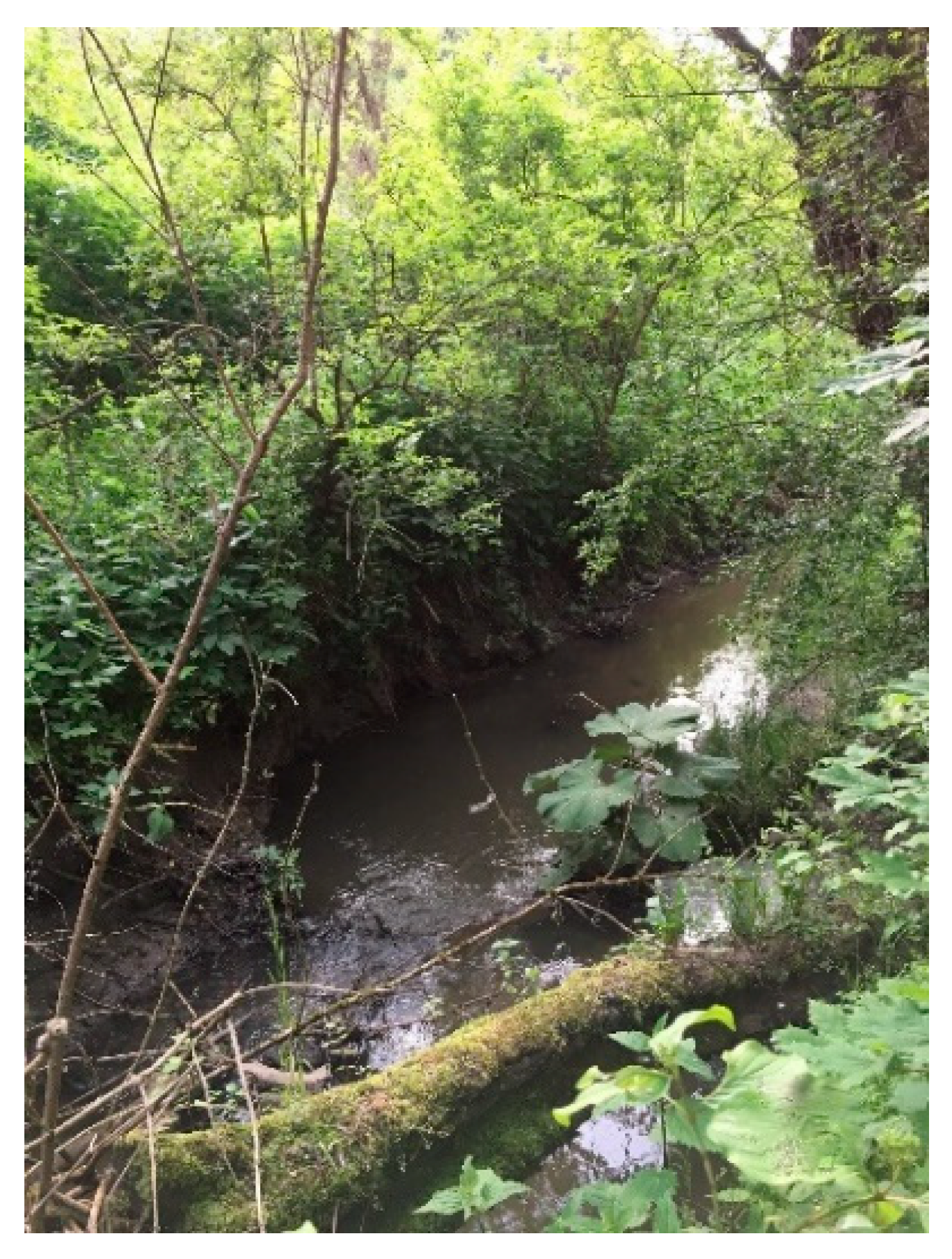 Atmosphere 12 01209 g011