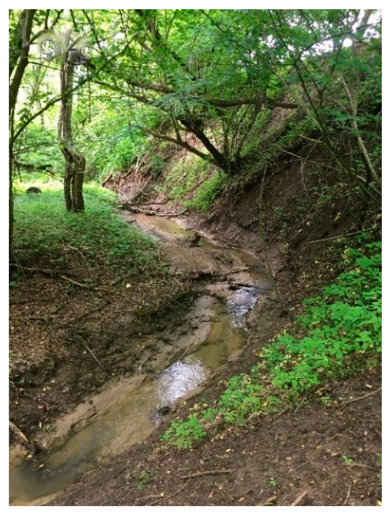 Atmosphere 12 01209 g014