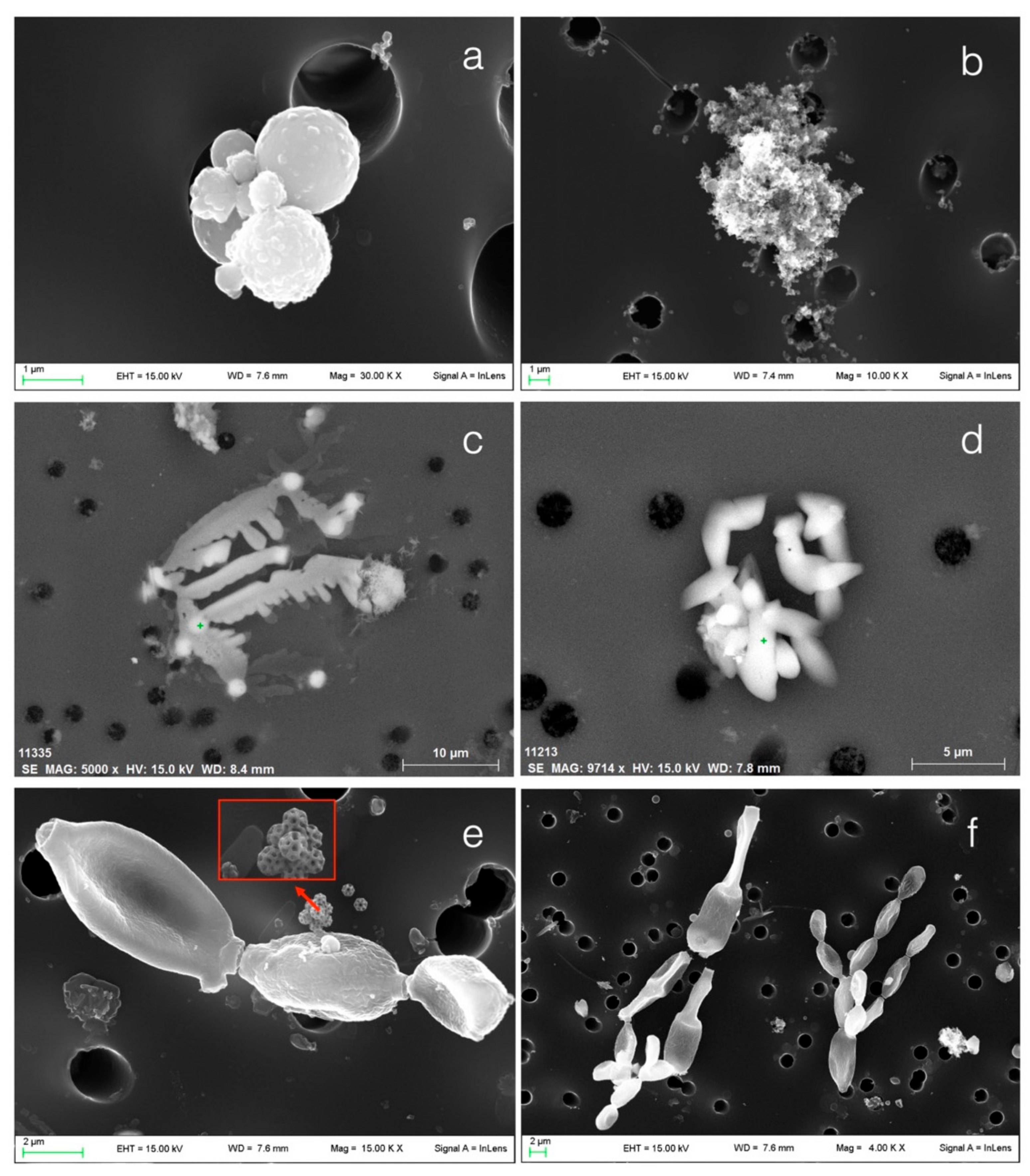 Atmosphere 12 01356 g007