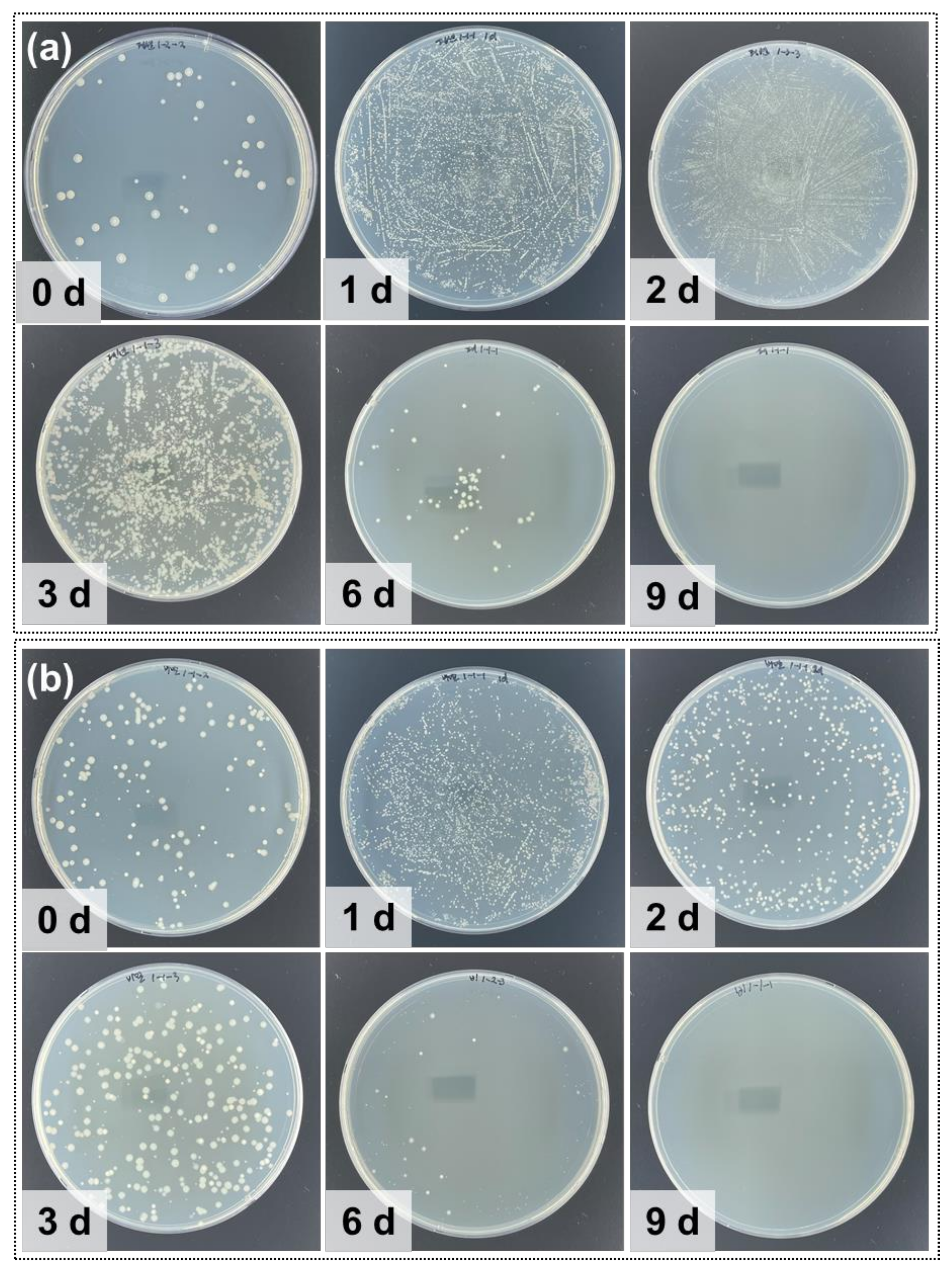 Atmosphere 12 01496 g004