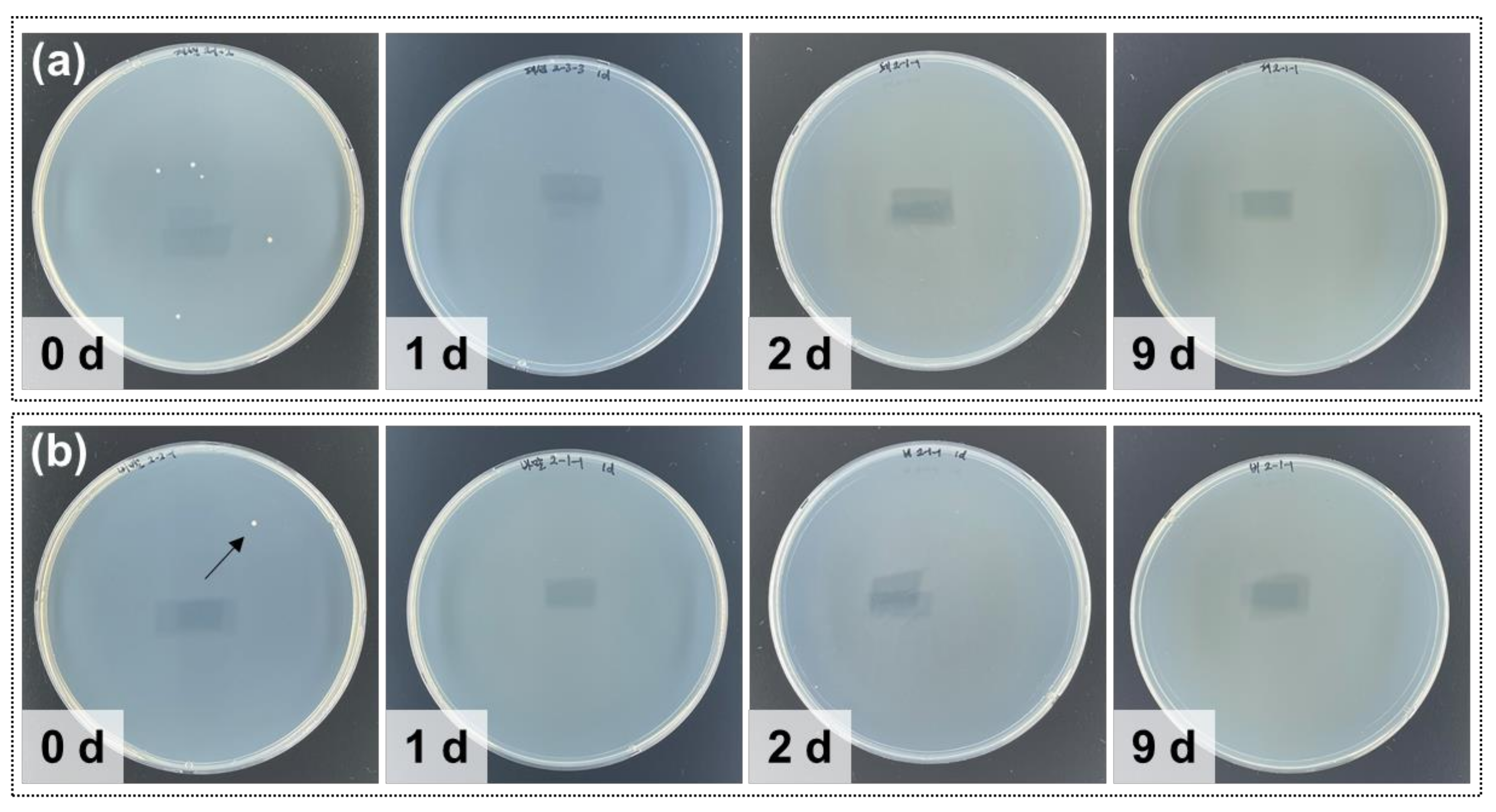 Atmosphere 12 01496 g006