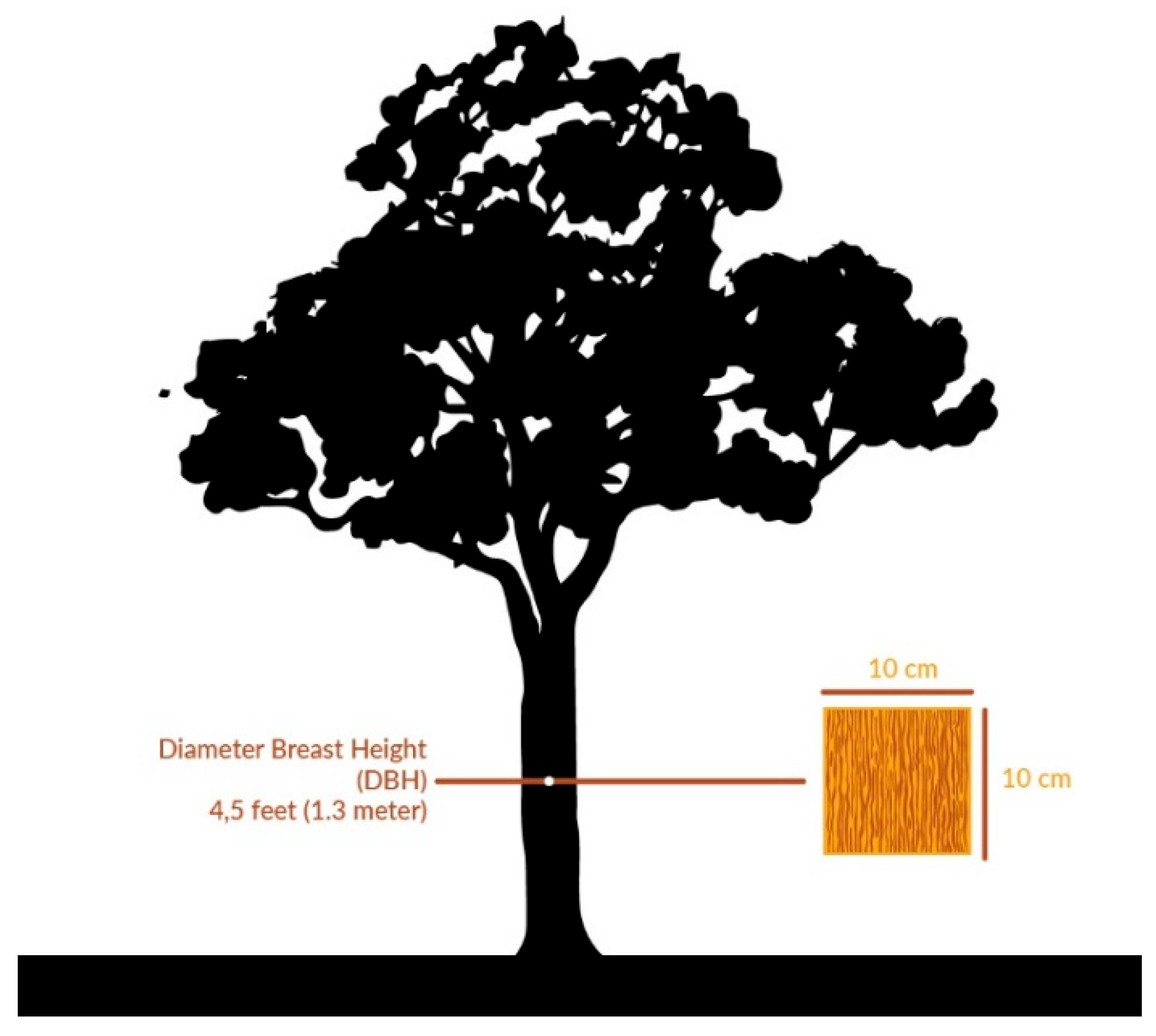 Atmosphere 13 00002 g002