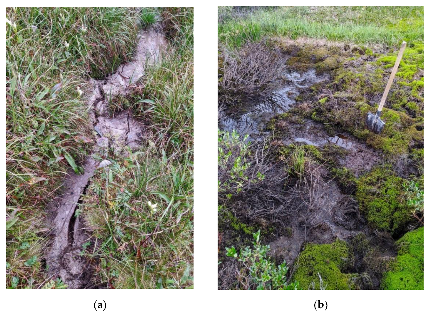 Atmosphere 13 00032 g004