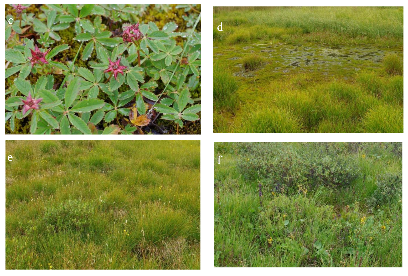 Atmosphere 13 00032 g013b