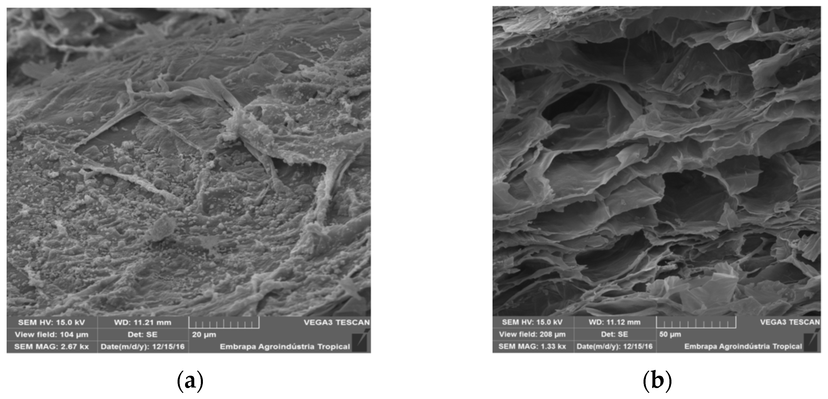 Atmosphere 13 00051 g002a