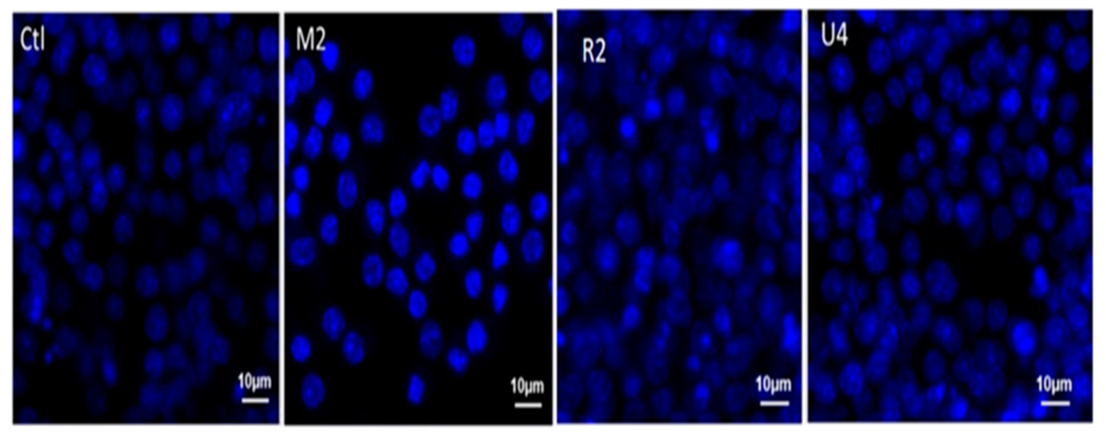 Atmosphere 13 00080 g012