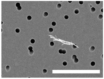 Atmosphere 13 00202 i003