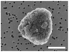 Atmosphere 13 00202 i006