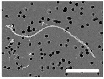 Atmosphere 13 00202 i009