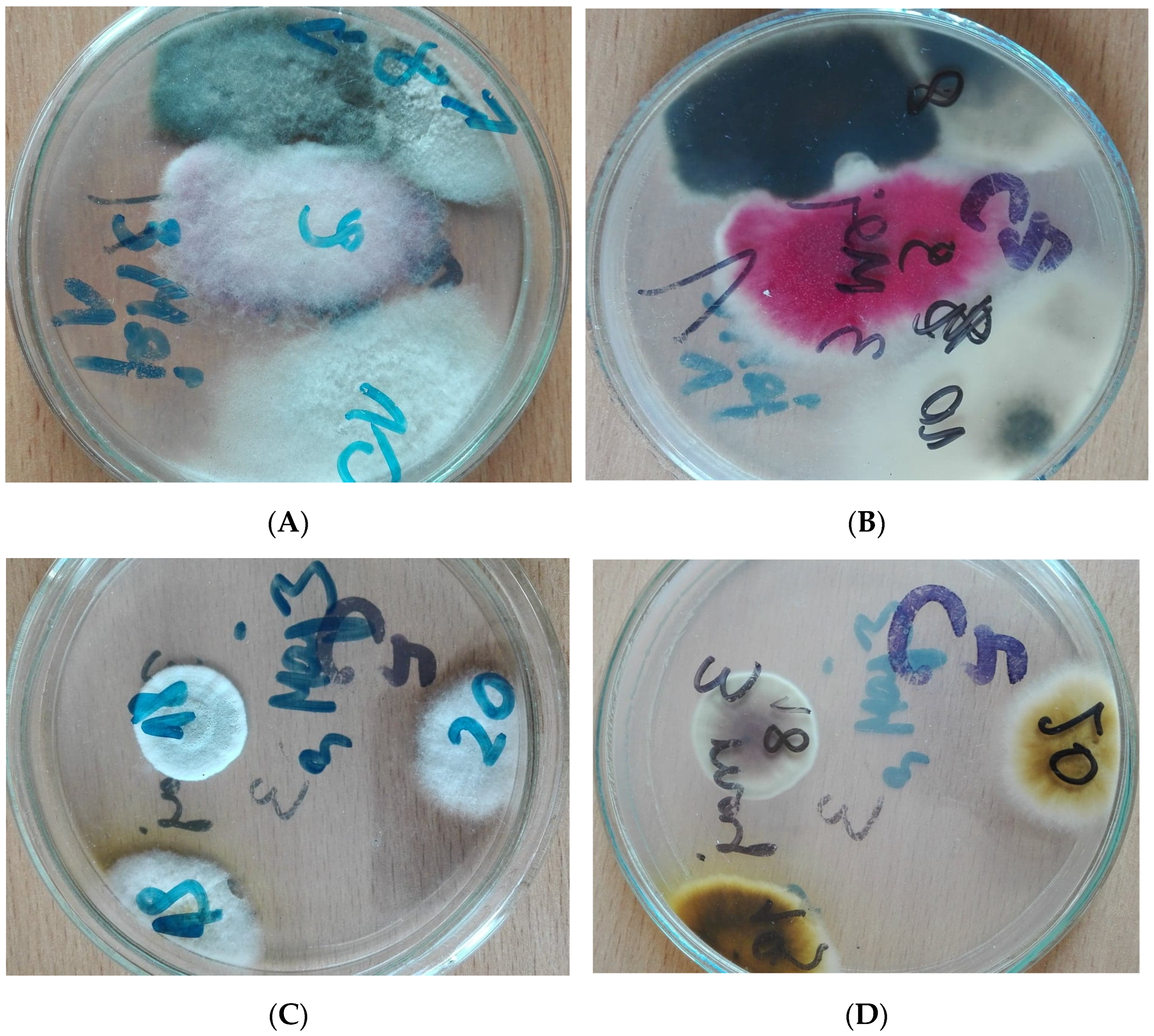 Atmosphere 13 00207 g001 Atmosphere 13 00207 g001