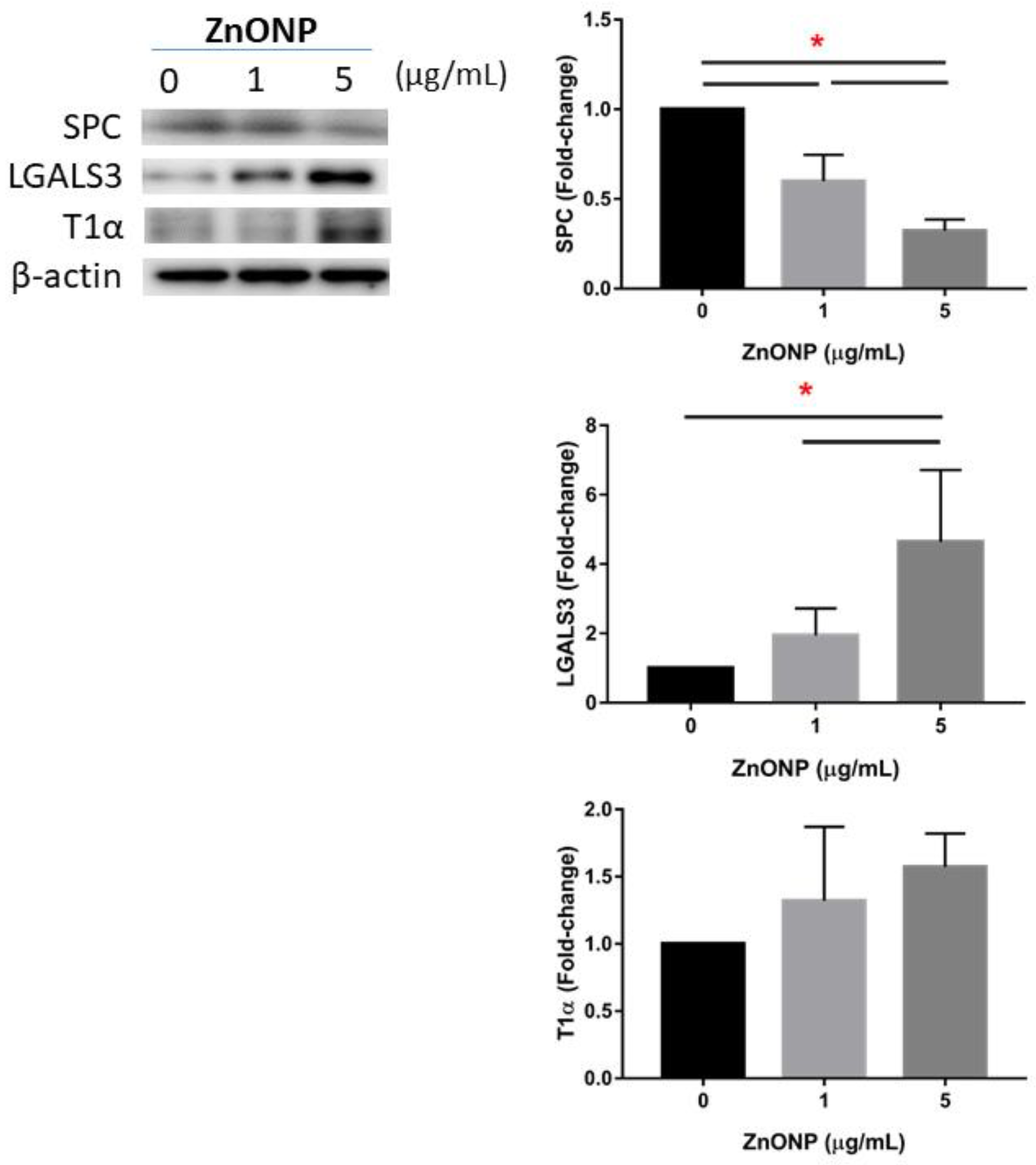 Atmosphere 13 00334 g004