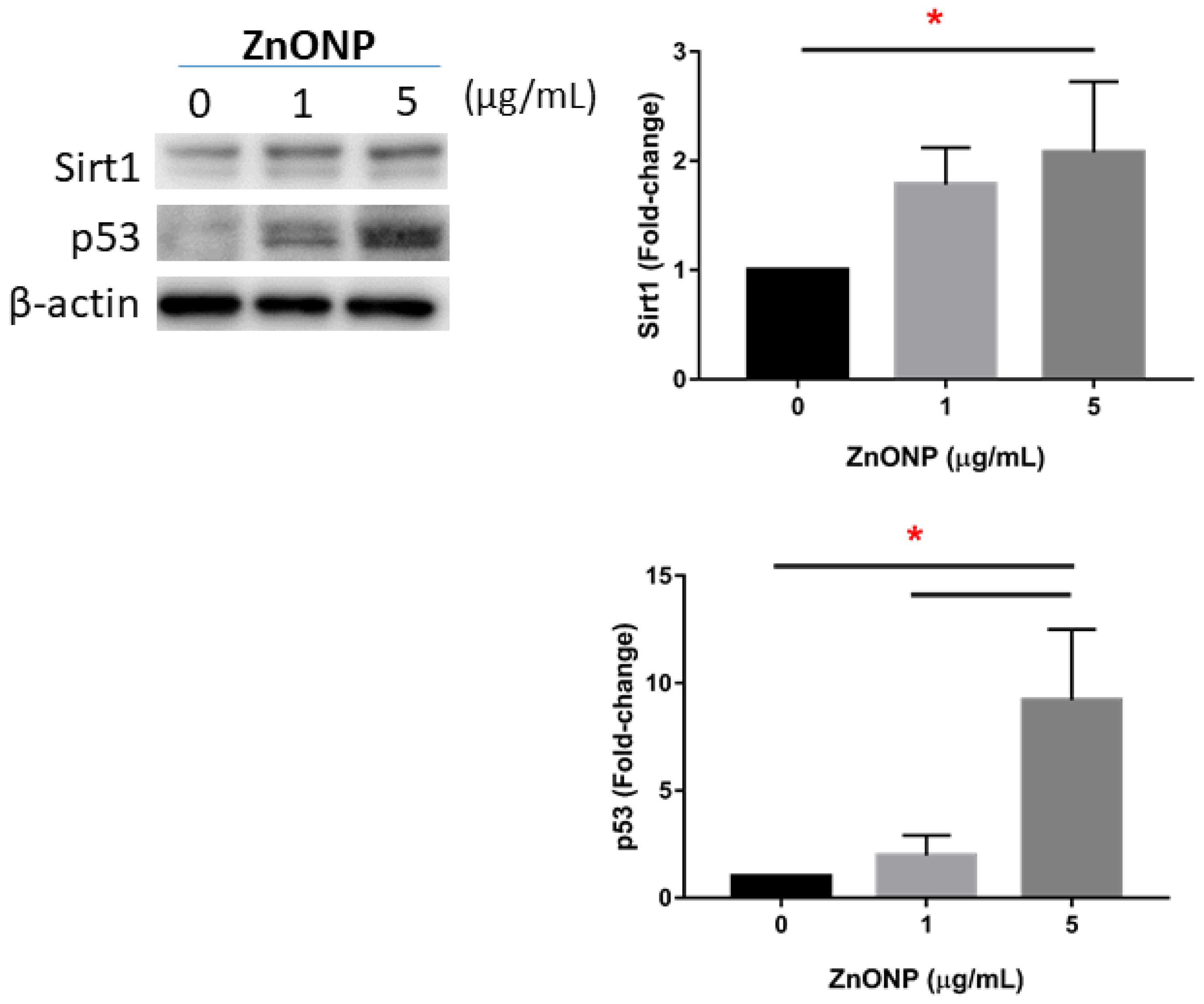 Atmosphere 13 00334 g005