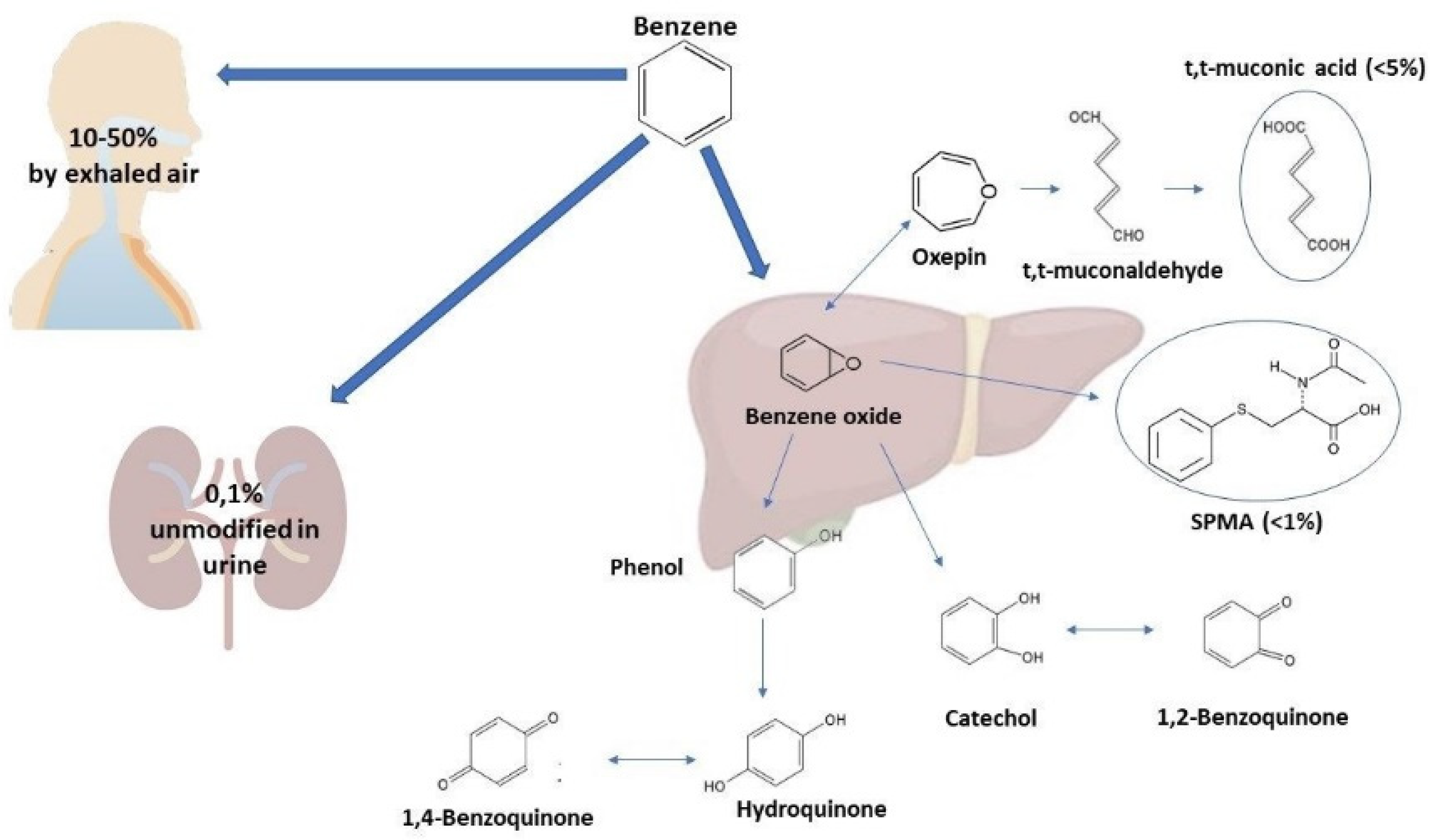 Atmosphere 13 00450 g001