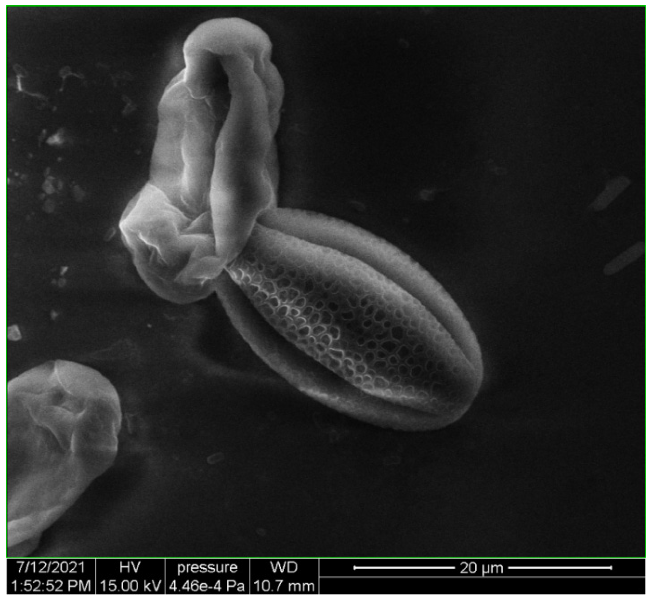 Atmosphere 13 00493 g012